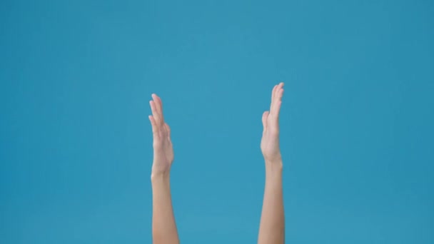 Jeune Femme Montrant Applaudissements Applaudissements Mains Isolés Sur Fond Bleu — Video