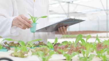 Yakın plan Asyalı kadın organik çiftlikte genç bitkileri kontrol ediyor ve verileri seradaki belge kağıdına kaydediyor, bahçedeki kadın çiftçi, tarımda yeni teknoloji kavramı..