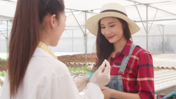 アジアの科学者女性のテストソリューション有機農場の化学検査土壌と温室内の所有者に結果を示す 庭の女性農家 農業の新しい技術のための概念 — ストック動画