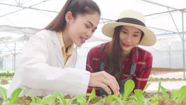 亚洲科学家妇女在有机农场检查幼树是否健康 并传授如何在温室中照顾主人的知识 在花园中照顾女农 种植新技术的概念 — 图库视频影像