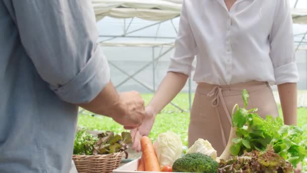 閉鎖若いアジアの実業家農家は 温室内の有機農場での契約の販売に成功したヒスパニック系の男性の買い手と握手 栽培概念の新しい技術 — ストック動画
