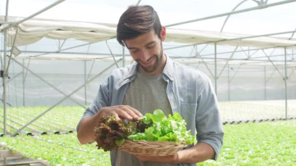 Jovem Empresário Hispânico Agricultor Com Produtos Boa Qualidade Vendendo Plantas — Vídeo de Stock