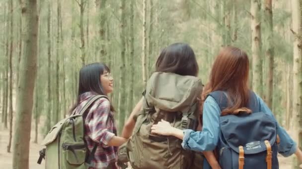 Asijské Turistické Ženy Putující Lesem Mladý Šťastný Batoh Dívky Chůze — Stock video