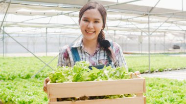Asyalı genç çiftçinin portresi elinde yeşil meşe sepetiyle kameraya bakıyor ve sabahları hidroponik sebze çiftliğinde gülümsüyor. Sağlık için organik tarım, vejetaryen gıda, küçük işletme konsepti.