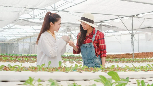 Aasian Tiedemies Nainen Testi Ratkaisu Kemiallinen Tarkastus Maaperän Orgaaninen Maatila — kuvapankkivalokuva