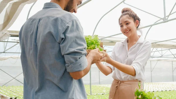 Nuori Aasialainen Liikenainen Viljelijä Näyttää Tuotteen Myynti Laadukkaita Kasveja Vihanneksia — kuvapankkivalokuva