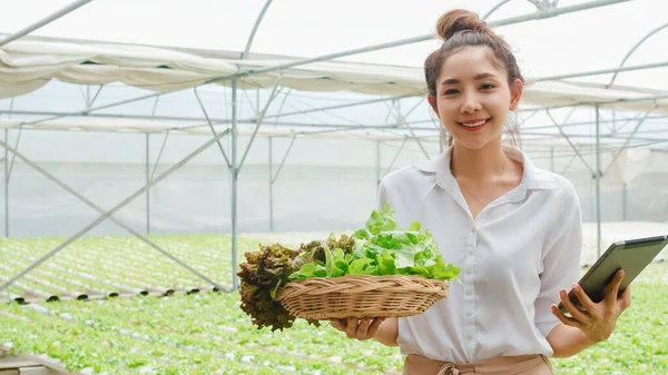 Unge Asiatiske Forretningskvinnbønder Med Produkter Som Selger Planter Grønnsaker God – stockfoto