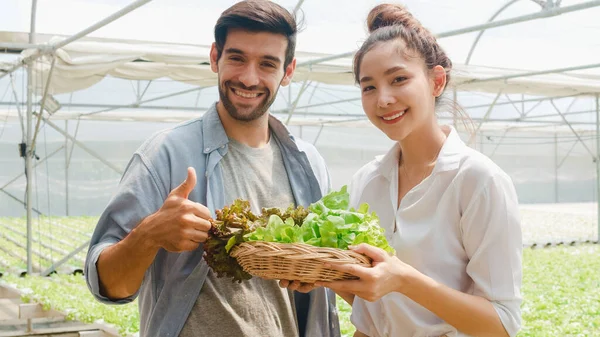 Unge Asiatiske Forretningskvinners Bondeprodukter Som Selger Planter Grønnsaker God Kvalitet – stockfoto