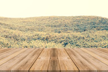 Wooden board empty table in front of blurred background. Perspective brown wood over blur trees in forest - can be used for display or montage your products. vintage filtered image.