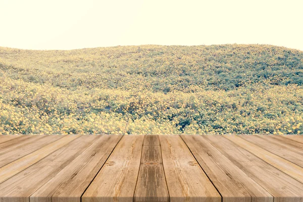 Holzbrett leerer Tisch vor verschwommenem Hintergrund. Perspektive braunes Holz über unscharfe Bäume im Wald - kann für die Anzeige oder Montage Ihrer Produkte verwendet werden. Vintage gefiltertes Bild. — Stockfoto