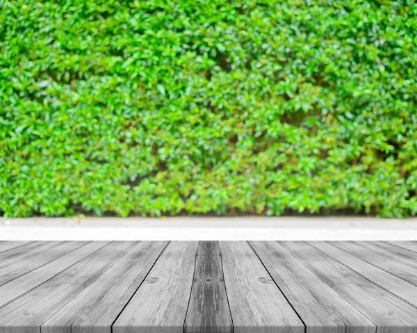 Table vide en bois devant un fond flou. Perspective bois blanc sur les arbres flous dans la forêt - peut être utilisé pour afficher ou monter vos produits. saison printanière. image filtrée vintage . — Photo