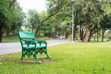 Tezgah ağacının altında güzel renkli sonbahar park güneşli.