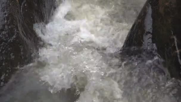Gebirgsbach-Wasserfall im Wald. — Stockvideo