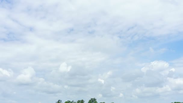 4k Time-lapse: Blue sky wolken over de boom bos. — Stockvideo