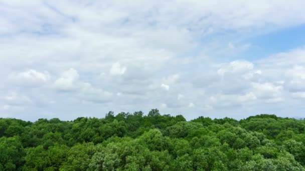 4K / UHD Tiempo-lapso: Nubes azules del cielo sobre el bosque del árbol . — Vídeos de Stock