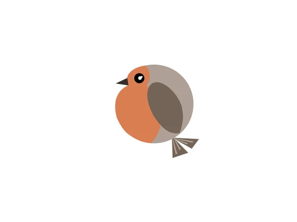 Söt Vektor För Europeisk Robin Fågel Isolerad Vit Bakgrund — Stockfoto