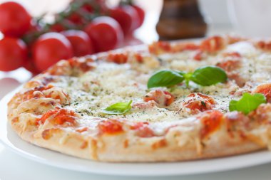 Fresh baked pizza with melted cheese, Italian herbs and tomato sauce and fresh basil on a white plate on a kitchen background, selective focus