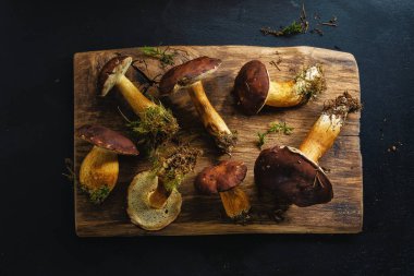 Ormandan gelen yabani mantarlar karanlık arka planda pişirilmeye hazır. Yukarıdan görüntüle. 