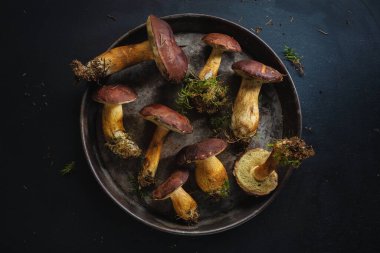 Ormandan gelen yabani mantarlar karanlık arka planda pişirilmeye hazır. Yukarıdan görüntüle. 