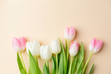 Pastel üzerinde bahar çiçekleri olan güzel bir arka plan. Paskalya ya da bahar konsepti. Pankart. 