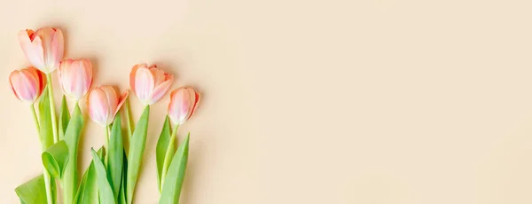 Hermoso Fondo Con Flores Primavera Pastel Concepto Pascua Primavera Banner — Foto de Stock
