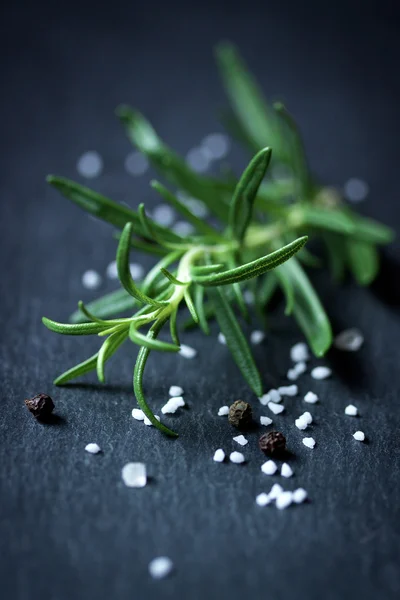 Rosemary com sal e pimenta no fundo escuro — Fotografia de Stock