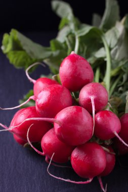 Koyu arka plan üzerinde taze turp