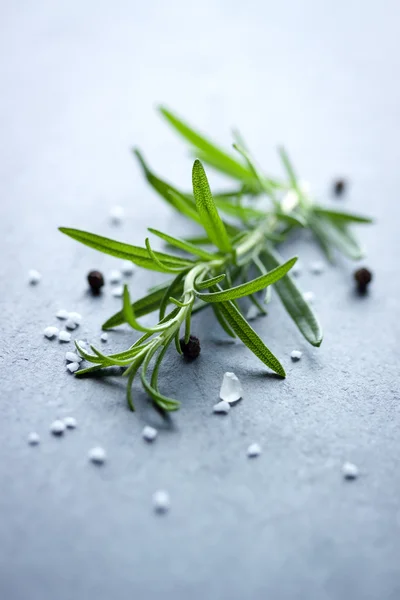 Rosemary com sal e pimenta no fundo azul claro — Fotografia de Stock