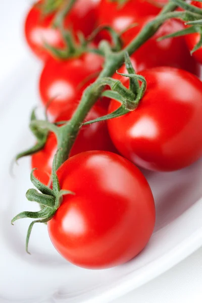 Frische Tomaten auf weißem Keramikteller auf weißem Hintergrund — Stockfoto