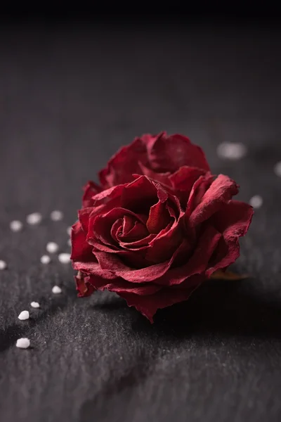 Dried red rose with sugar on dark background — Stock Photo, Image