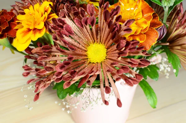 Chrysanthemum flowers autumn bouquet — Stock Photo, Image