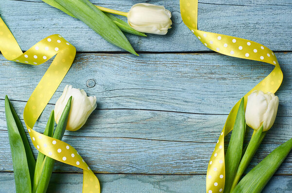 Spring flat lay with white tulip flowers and yellow ribbon over blue wooden background