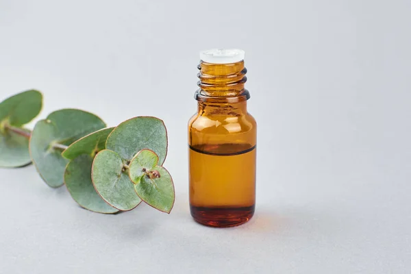 Ätherisches Eukalyptusöl Der Flasche Und Eukalyptuszweig Mit Grünen Blättern Nahaufnahme — Stockfoto