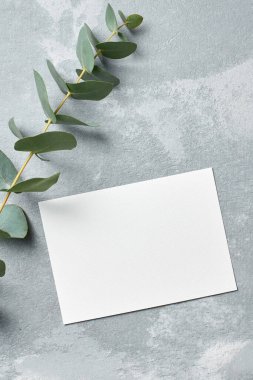 Gri taşlı arka plan üzerinde okaliptüs dalları olan davetiye kartı modeli, üst görünüm, boşluğu kopyala