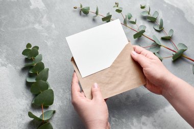 Gri beton arka planda taze okaliptüs dalları olan kadınların elindeki davetiye veya tebrik kartı, boşluğu kopyala