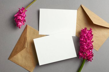 Davetiye kartı modeli, ön ve arka tarafında zarf ve taze bahar sümbülü çiçekleri gri kağıt arka planda, üst görünümde, kopyalama alanı