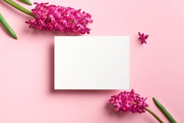 Pembe kağıt arkaplan, üst görünüm, kopyalama alanı üzerinde bahar sümbülü çiçekleri olan tebrik ya da davet kartı modeli