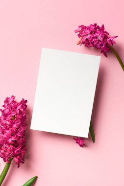 Davetiye ya da tebrik kartı modeli. Pembe arka planda bahar sümbülü çiçekleri. Üst manzara, kopyalama alanı.