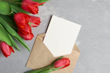 Taze kırmızı lale çiçekleri ve gri arkaplanda zarflı kart modeli, kopya alanı, üst görünüm