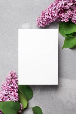 Gri, üst görünüm, kopyalama alanı üzerinde mor leylak çiçekleri olan tebrik ya da davet kartı modeli