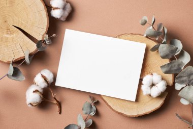 Davetiye ya da tebrik kartı modeli okaliptüs dalları ve pamuk bitkisi çiçek süslemeleri, üst görünüm