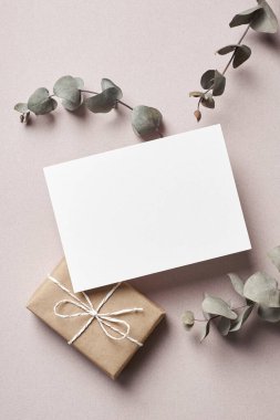 Davetiye ya da tebrik kartı modeli hediye kutusu ve okaliptüs bitkisi dalı, üst görünüm