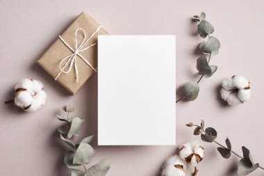 Davetiye veya tebrik kartı modeli hediye kutusu ve doğal pamuk ve okaliptüs bitki süslemeleri, üst görünüm
