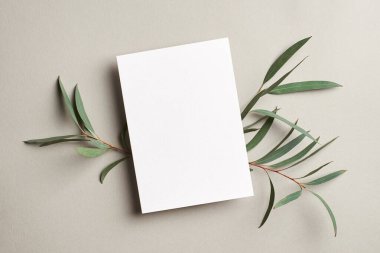 Yeşil okaliptüs dallı tebrik kartı veya davet modeli