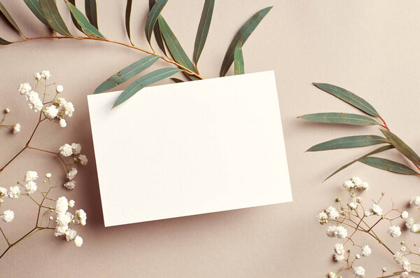 Wedding invitation card mockup with natural eucalyptus and white gypsophila twigs. Blank card mockup on beige background.