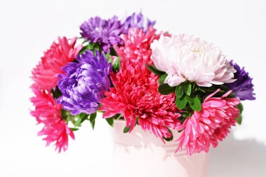 Aster bir dekoratif demet demet