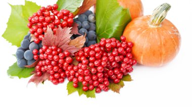 Kabak ve guelder-gül çilek üzüm ile