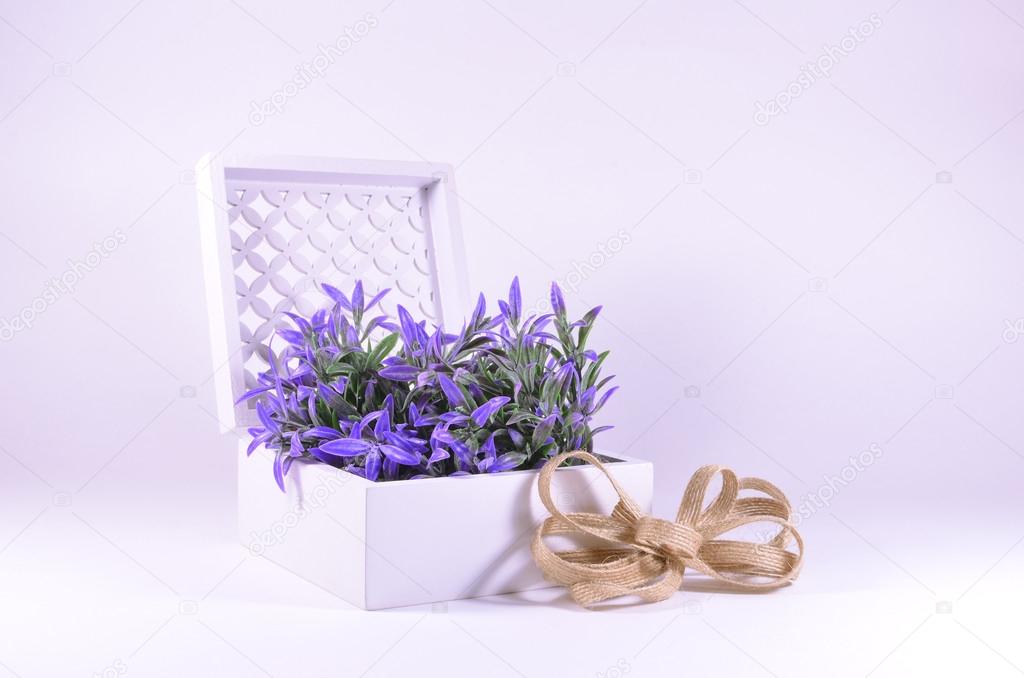 Purple flowers in a white ornate box