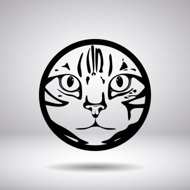 Namlu bir daire içinde bir kedi