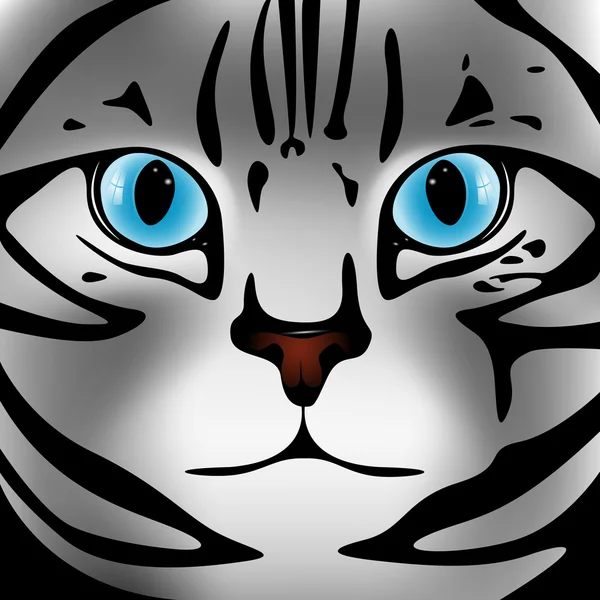 Snuit grijze kat met blauwe ogen — Stockvector